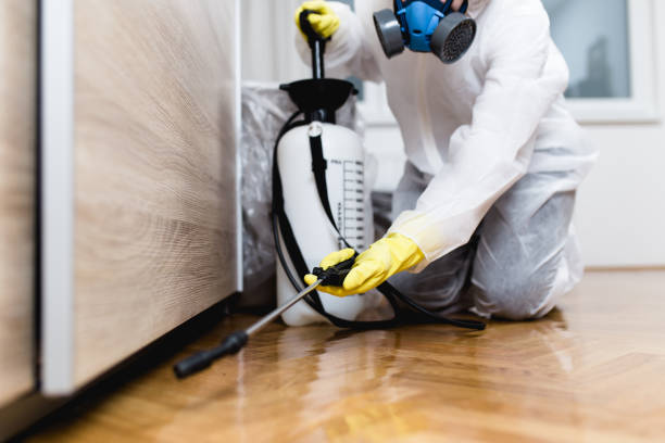 Best Local Pest Control Services  in Manitou Beach Devils Lake, MI