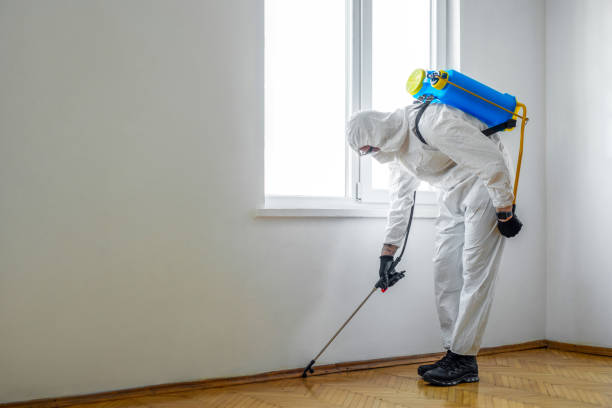 Best Ant Control Services  in Manitou Beach Devils Lake, MI