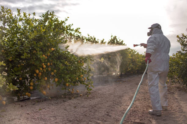 Best Pest Removal Services  in Manitou Beach Devils Lake, MI