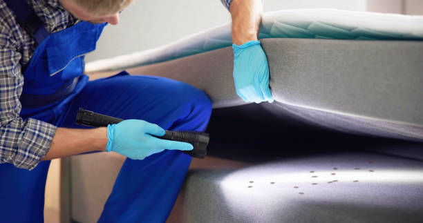 Best Affordable Pest Control Services  in Manitou Beach Devils Lake, MI