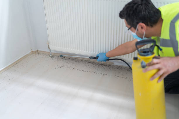 Best Exterminator Services  in Manitou Beach Devils Lake, MI