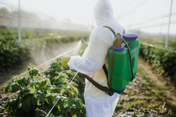Best Affordable Pest Control Services  in Manitou Beach Devils Lake, MI